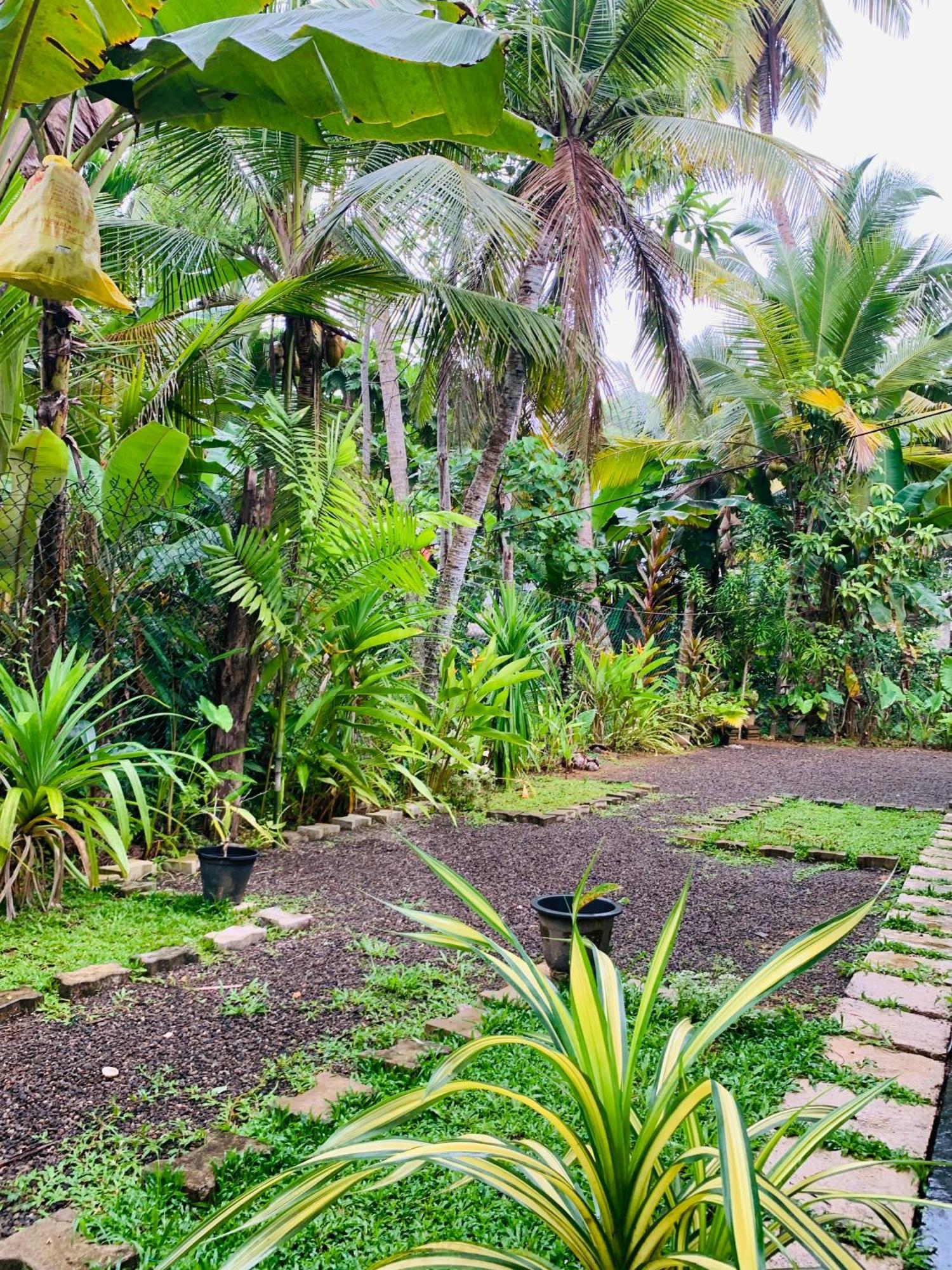 White Heaven Villa Унаватуна Экстерьер фото